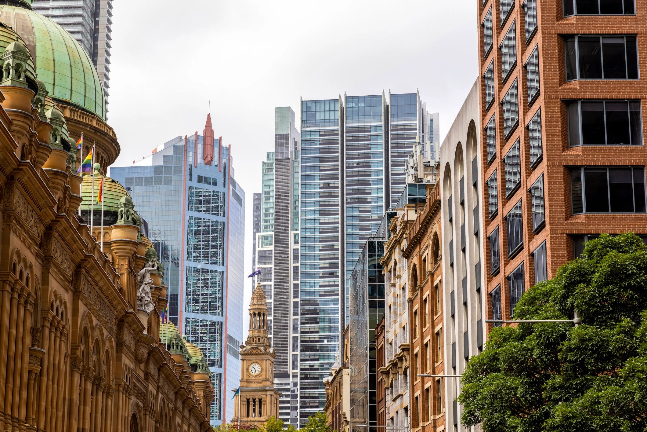 Sydney cityscape and law firm
